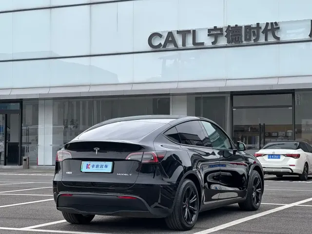 Tesla Model Y — Фото автомобиля 4