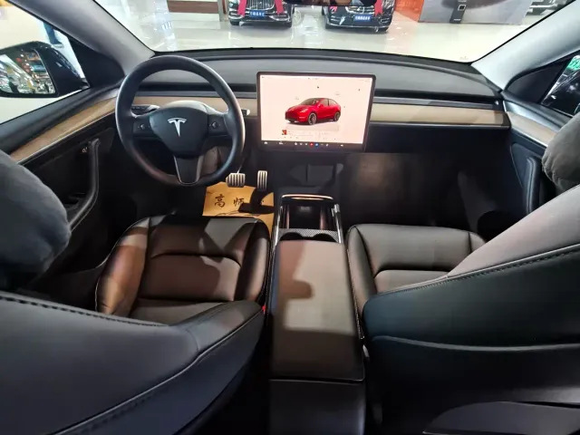 Tesla Model Y — Фото автомобиля 10