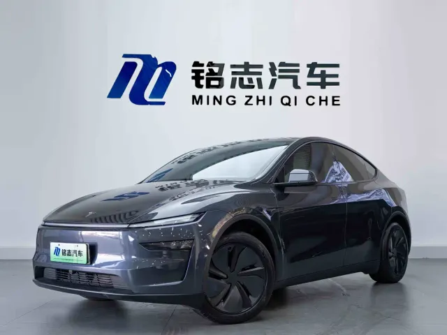 Tesla Model Y — Фото автомобиля 2