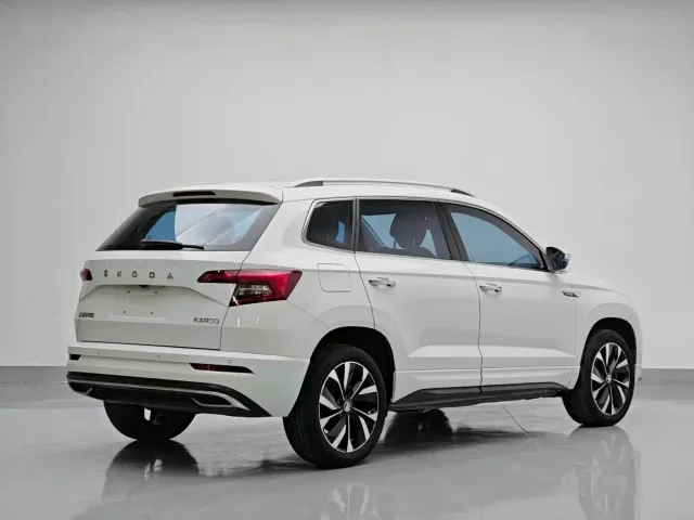 Skoda Karoq — Фото автомобиля 6