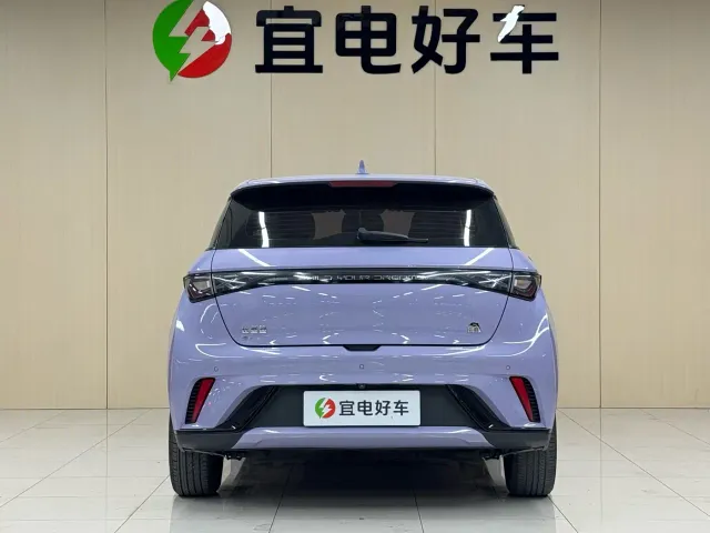 BYD Dolphin — Фото автомобиля 6