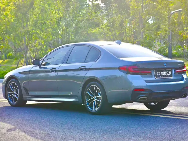BMW 5 Series — Фото автомобиля 14