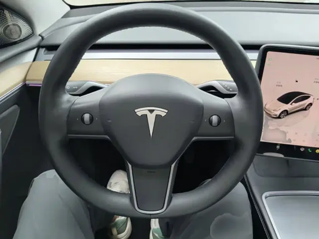 Tesla Model Y — Фото автомобиля 10