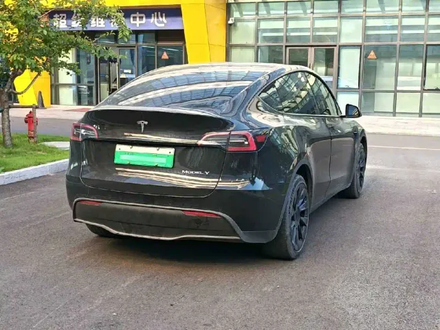 Tesla Model Y — Фото автомобиля 4