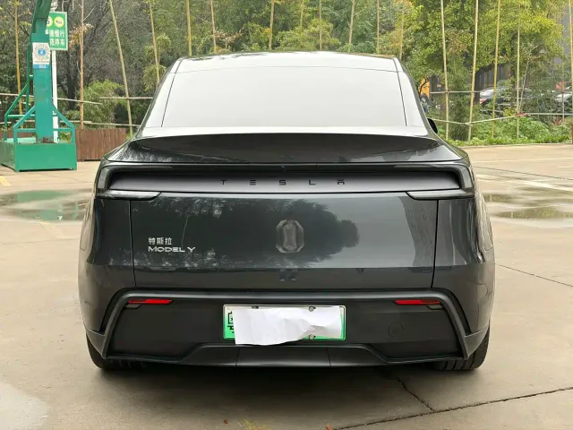 Tesla Model Y — Фото автомобиля 7