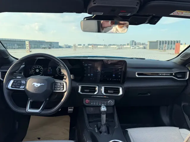 Ford Mustang — Фото автомобиля 28