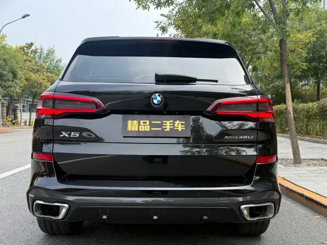 BMW BMW X5 2022 Facelift xDrive 40Li Premium M Sport Package — Фото автомобиля 6