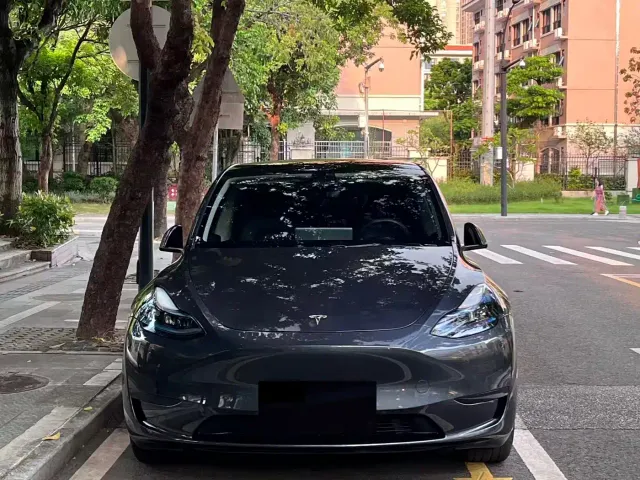 Tesla Model Y — Фото автомобиля 2