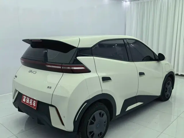 BYD Seagull — Фото автомобиля 4