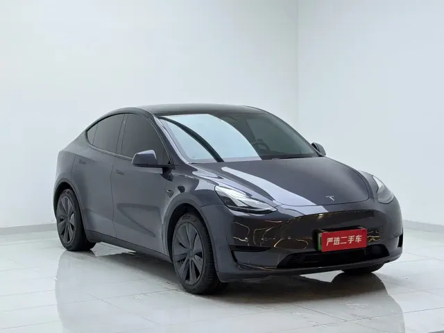 Tesla Model Y — Фото автомобиля 3