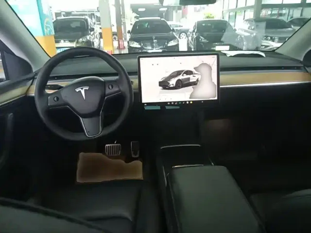 Tesla Model Y — Фото автомобиля 9