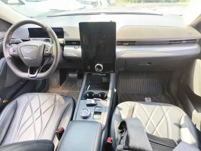Ford Mustang Mach-E — Фото автомобиля 12