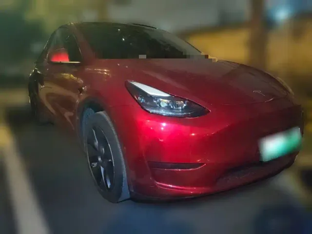 Tesla Model Y — Фото автомобиля 3
