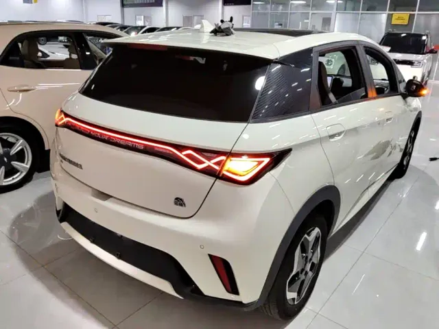 BYD Dolphin — Фото автомобиля 6
