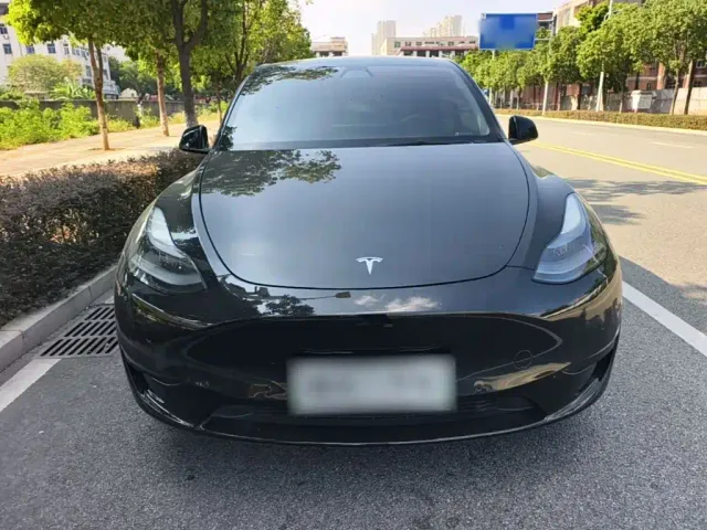 Tesla Model Y — Фото автомобиля 2