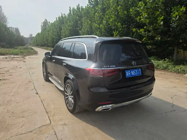 Mercedes-Benz GLS-Class — Фото автомобиля 6