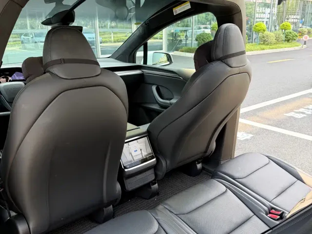 Tesla Model X — Фото автомобиля 8