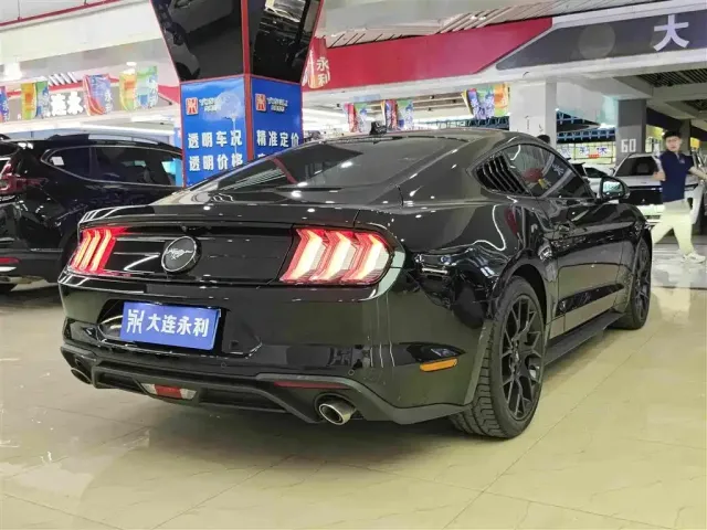 Ford Mustang — Фото автомобиля 12