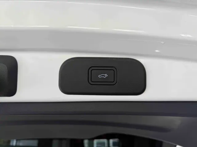 Geely Starry Wish — Фото автомобиля 19