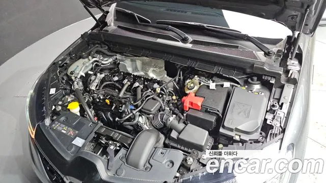 Renault Korea XM3 — Фото автомобиля 9