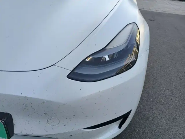 Tesla Model Y — Фото автомобиля 23
