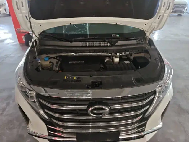 GAC Trumpchi M8 — Фото автомобиля 19