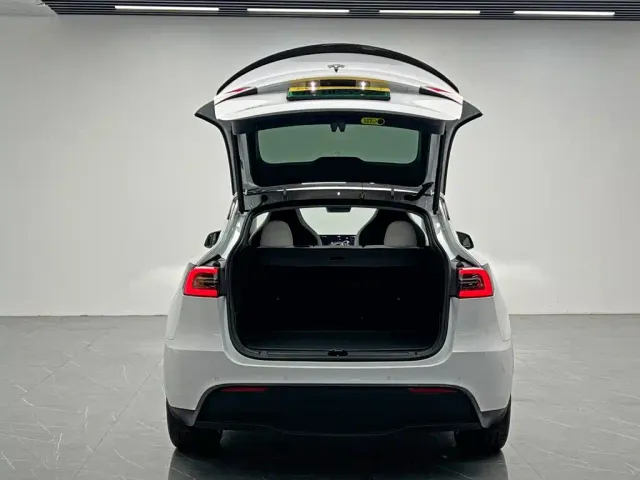 Tesla Model Y — Фото автомобиля 11