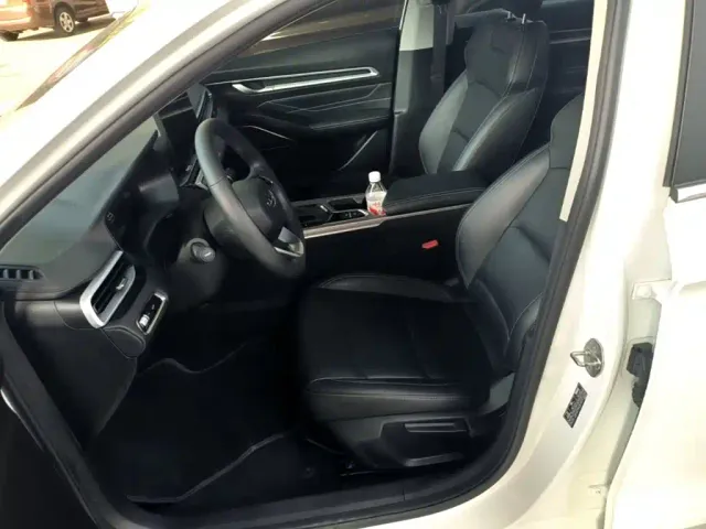 Geely Emgrand — Фото автомобиля 14