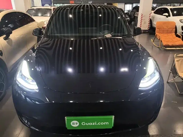 Tesla Model Y — Фото автомобиля 2