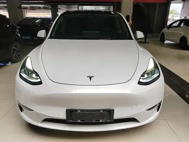 Tesla Model Y — Фото автомобиля 2