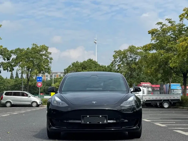 Tesla Model 3 — Фото автомобиля 2