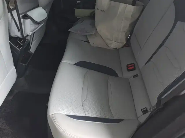 Geely Xing Rui 2021 2.0TD Flagship Model — Фото автомобиля 18