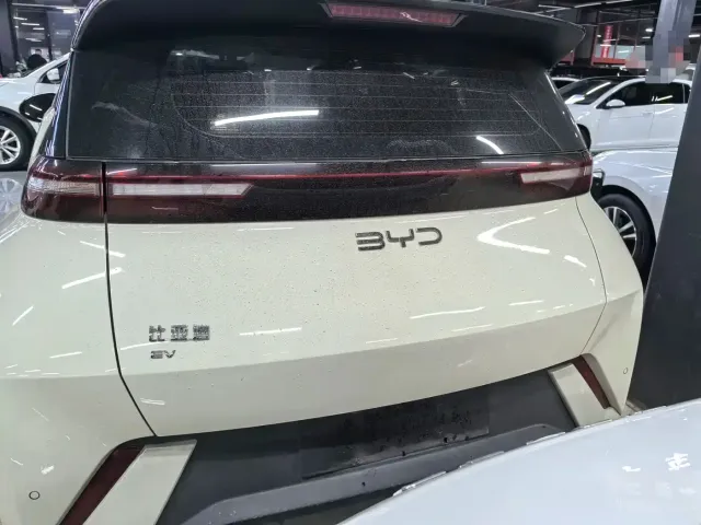 BYD Seagull — Фото автомобиля 5