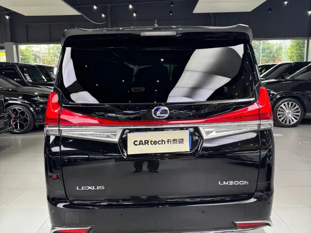 Lexus LM — Фото автомобиля 6