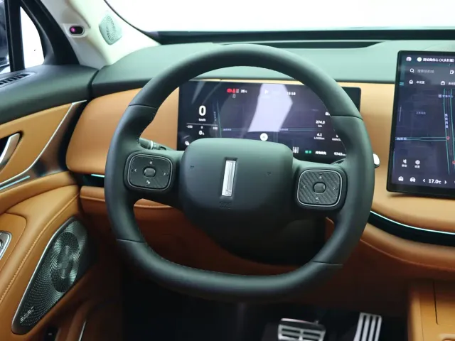 Wey Lanshan — Фото автомобиля 19