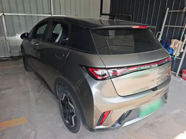 BYD Dolphin — Фото автомобиля 4