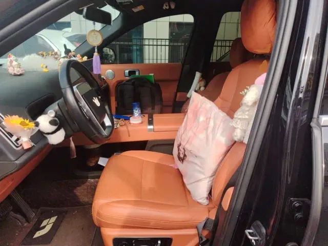 Li Auto L8 — Фото автомобиля 11