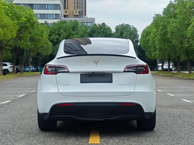 Tesla Model Y — Фото автомобиля 5