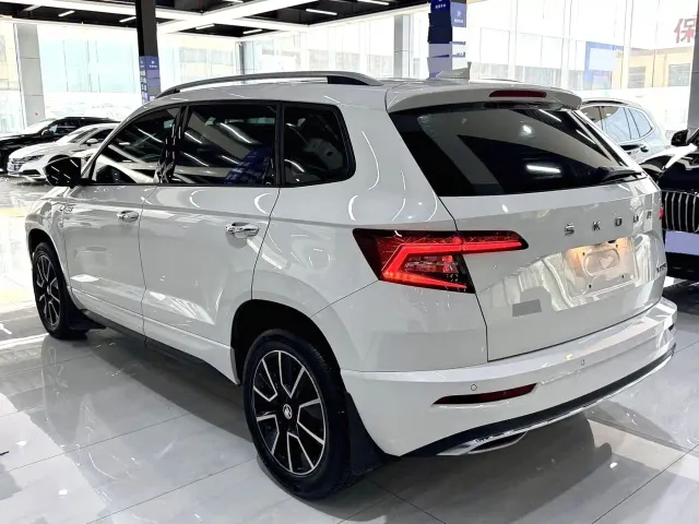 Skoda Karoq — Фото автомобиля 11