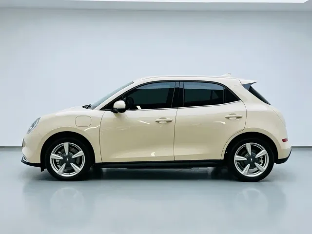 Ora Ora Good Cat 2023 401km Standard Range Luxury LFP — Фото автомобиля 9