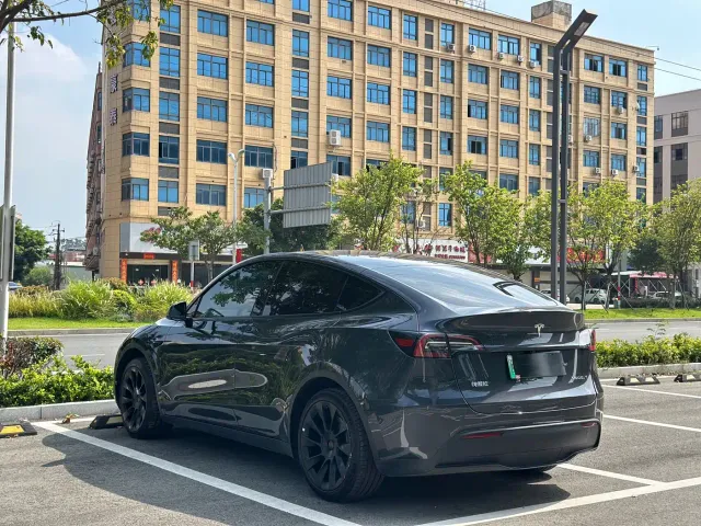 Tesla Model Y — Фото автомобиля 8