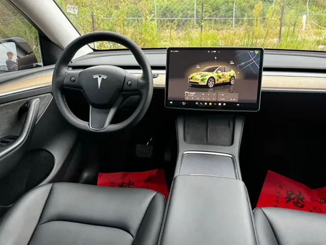 Tesla Model Y — Фото автомобиля 11