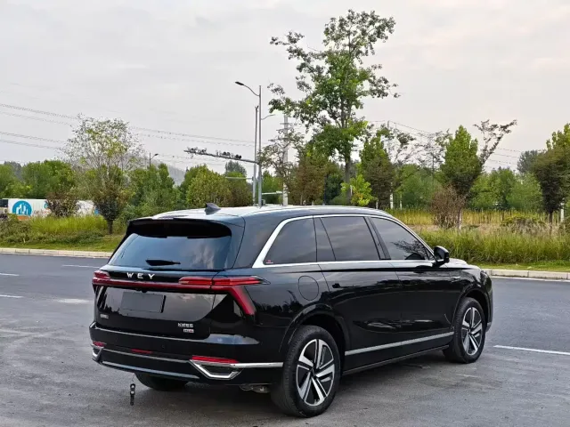 Wey Lanshan — Фото автомобиля 7