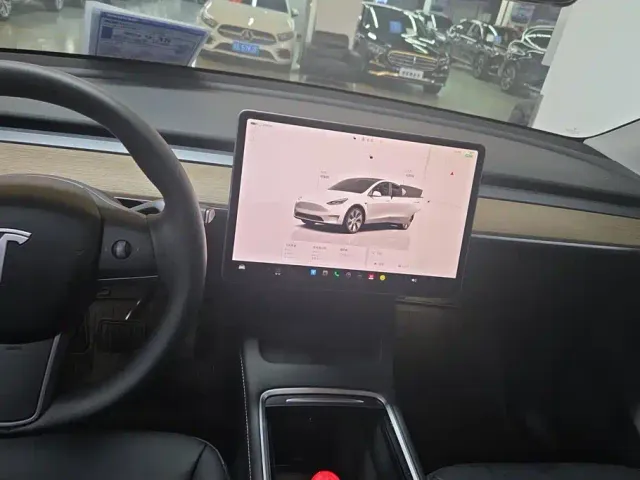 Tesla Model Y — Фото автомобиля 13