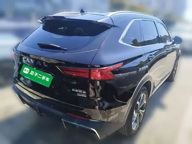 Haval Xiaolong MAX — Фото автомобиля 9