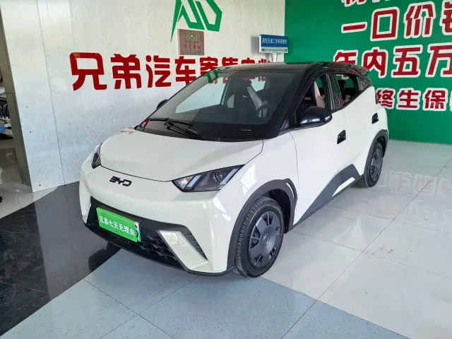 Фотография автомобиля — BYD Seagull