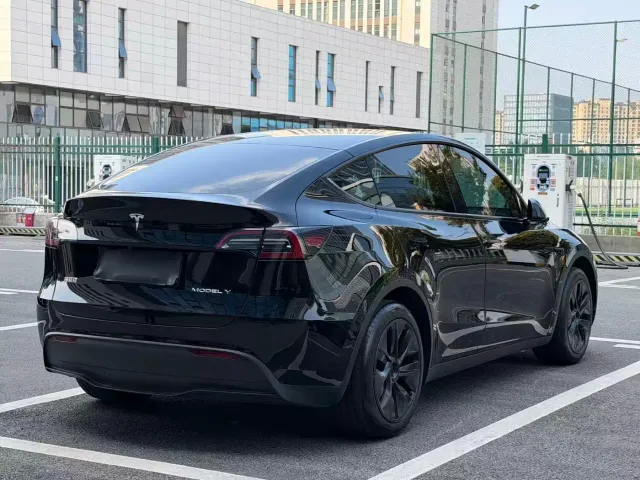 Tesla Model Y — Фото автомобиля 6