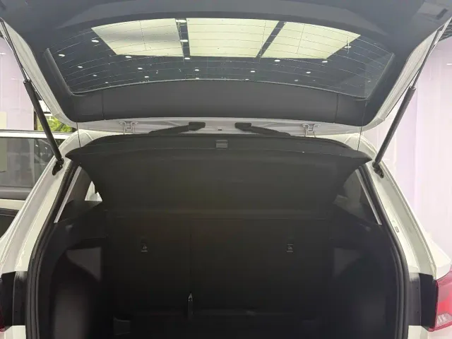 Jetta VS5 — Фото автомобиля 20