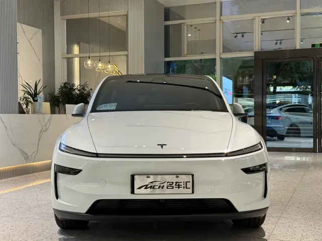 Tesla Model Y — Фото автомобиля 2