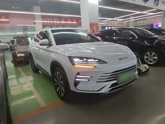 BYD Song PLUS — Фото автомобиля 3